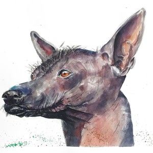 Meet your Posher, Pia